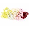 Imagen de Ramo de 35 hortensias, PACKx2 varios colores