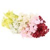 Imagen de Ramo de 35 hortensias, PACKx2 varios colores