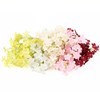 Imagen de Ramo de 35 hortensias, PACKx2 varios colores
