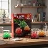 Imagen de Juego de ciencia cristales, en caja
