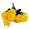 Imagen de Ramo de 5 claveles, PACKx2 varios colores