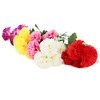 Imagen de Ramo de 5 claveles, PACKx2 varios colores