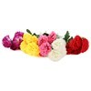 Imagen de Ramo de 5 claveles, PACKx2 varios colores