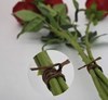 Imagen de Alambre para floristería, 200m 2 colores