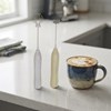 Imagen de Batidor para capuchino, con 2 paletas, USB en caja