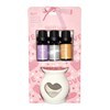 Imagen de Hornito aromatizador de cerámica, con aceites x3, en caja, varias fragancias