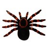 Imagen de Animales araña de plástico en cartón